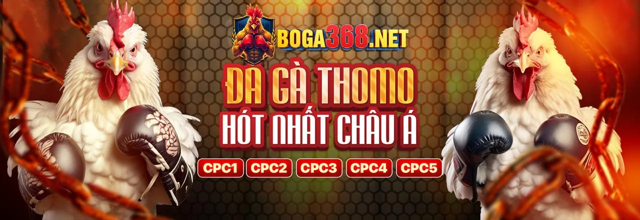 Chiến thuật cá cược thể thao gacam win